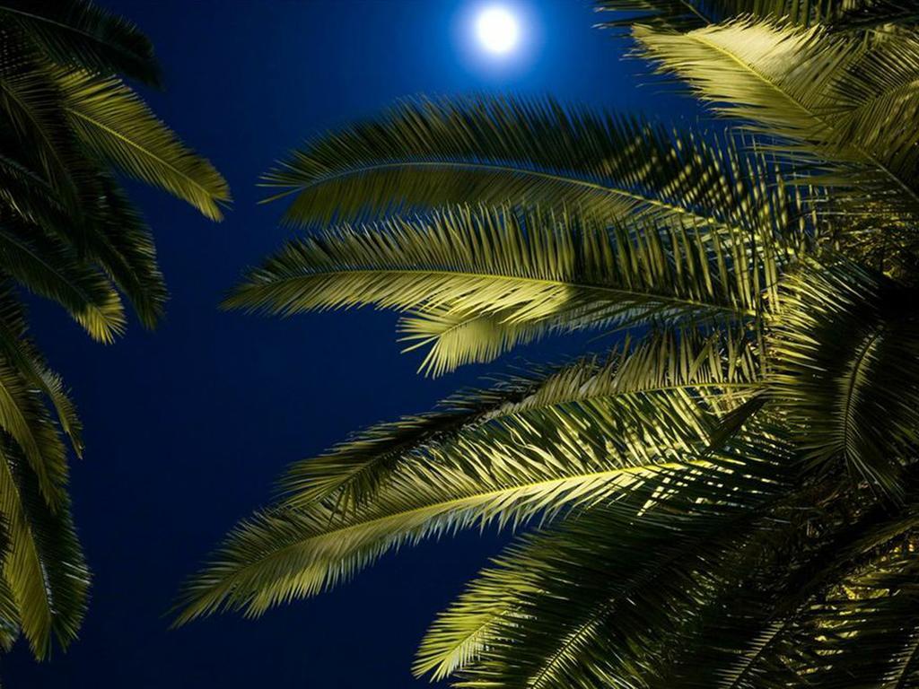 فندق قصر شهرزاد وسبا فاس المظهر الخارجي الصورة